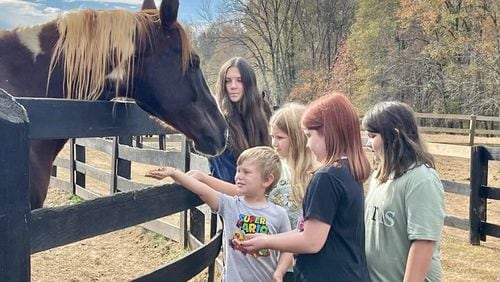 Students from a school group take a visit to Zorro's Crossing Horse Sanctuary. Zorro's Crossing, a place for discarded racing horses to find a forever home and healing. Photo contributed by Zorro's Crossing.