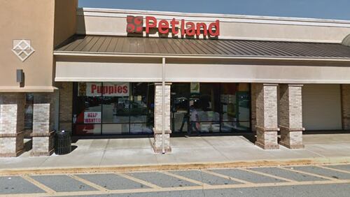 Five puppies were stolen from the Petland in Dunwoody on Friday morning.