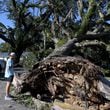 Nealy Hiers, student at Valdosta State University, takes a picture of a fallen tree caused by Hurricane Helene near Valdosta State University, Saturday, September 28, 2024, in Valdosta.