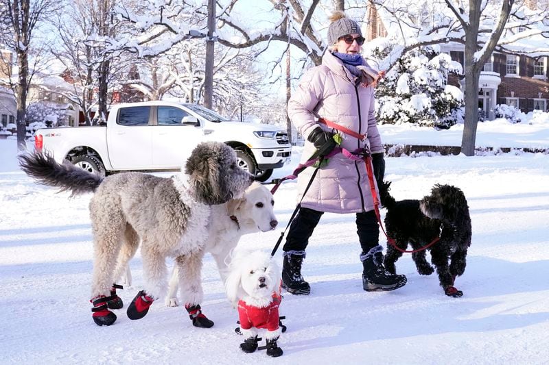 FILE - A dog walker walks with her dogs near Lake of the Isles in Minneapolis on Dec. 22, 2022. (AP Photo/Abbie Parr, File)