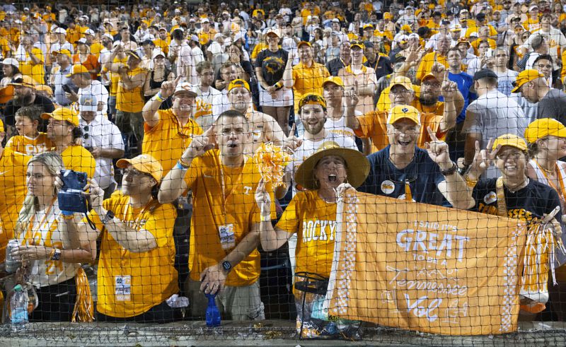 Tennessee fans celebrate after their team's victory over Texas A&M in Game 3 of the NCAA College World Series baseball finals in Omaha, Neb., Monday, June 24, 2024. (AP Photo/Rebecca S. Gratz)
