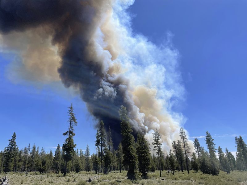 In this photo provided by the Deschutes County Sherriff's Office, smoke rises from a wildfire near La Pine, Ore., Tuesday, June 25, 2024. Gusty winds fueled a rapidly growing wildfire just outside the central Oregon community of La Pine and prompted evacuations. (Sgt. Kyle Kalambach/Deschutes County Sherriff's Office via AP)