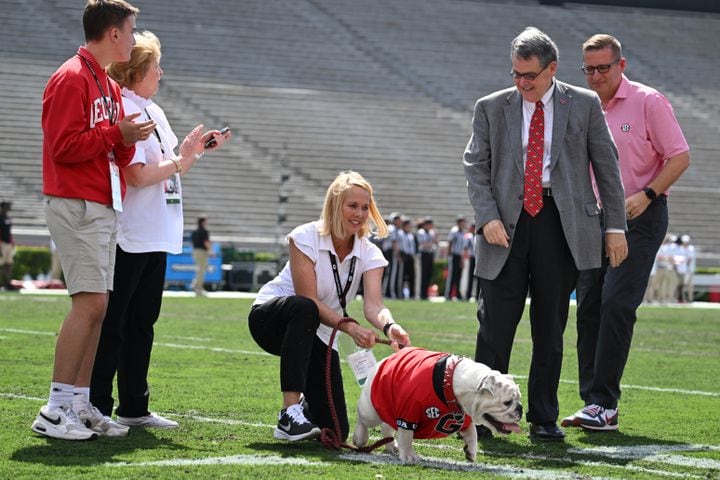 Photos: Boom the Bulldog takes his place as Uga XI at G-Day