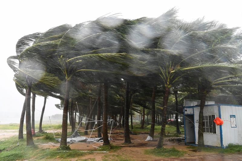 In this photo released by Xinhua News Agency, coconut trees hit by typhoon Yagi along a road in Haikou, south China's Hainan Province, Friday, Sept. 6, 2024. (Yang Guanyu/Xinhua via AP)