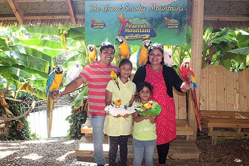Get a family photo with feathered friends at Parrot Mountain and Garden.
Credit: Parrot Mountain and Gardens