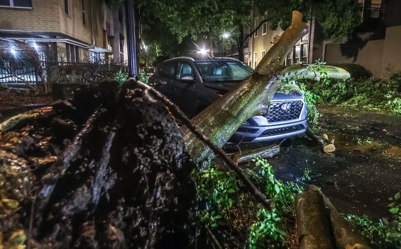 A downed tree on Montag Circle in Atlanta, as seen Thursday morning.