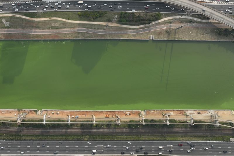 The Pinheiros River is green in Sao Paulo, Brazil, Tuesday, Sept. 10, 2024. The state's environmental authority attributes the river's new green hue to an algae bloom, the result of a severe drought that has significantly lowered water levels. (AP Photo/Andre Penner)