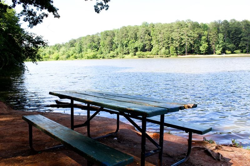 A table at Murphey Candler Park in Brookhaven awaits some guests to enjoy some nibbles and the peaceful view. 
(Courtesy of Explore Brookhaven)
