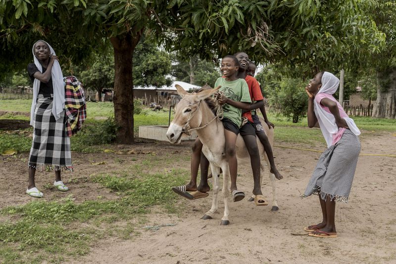 Children play in Kwinella village, Gambia, where many Gambians emigrated from, on July 27, 2024. (AP Photo/Annika Hammerschlag)