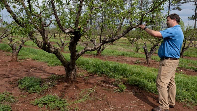 Atlanta Braves celebrate Season of Giving with orchard planting, a