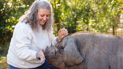 Laura Jensen is seen with Poppy Pickles, a Meishan hog that has become the farm mascot. Courtesy of Mary Ann Morgan Photography