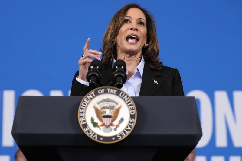 Democratic presidential nominee Vice President Kamala Harris speaks at a campaign event at Northwestern High School in Detroit, Monday, Sept. 2, 2024. (AP Photo/Jacquelyn Martin)