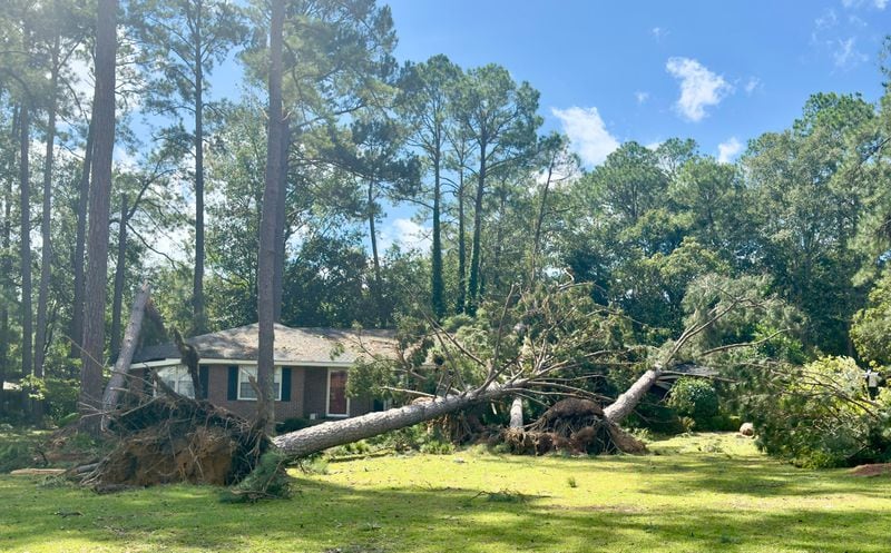 A tree toppled over a house in Dublin, killing a 58-year-old man.