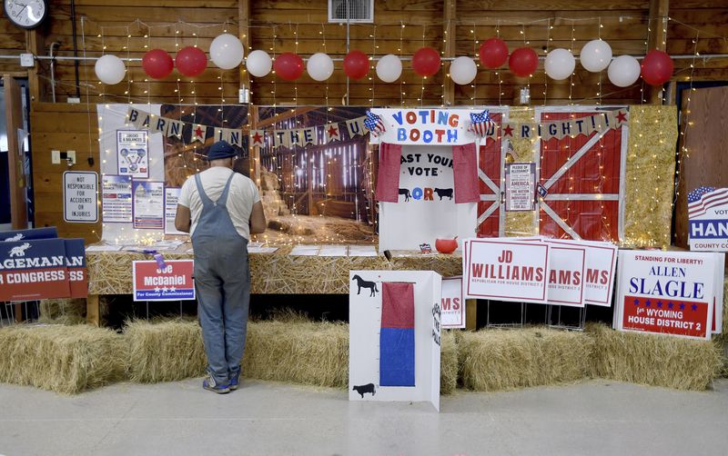 Pat Jordan, a registered Republican who describes himself as a progressive, looks at a get-out-the-vote display at the Niobrara County Fair in Lusk, Wyo., on July 31, 2024. (AP Photo/Thomas Peipert)