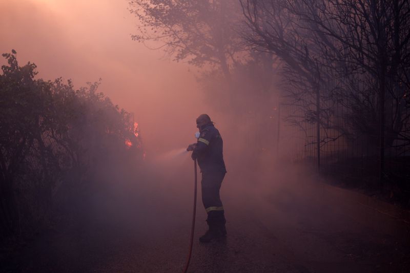 A firefighter tries to extinguish the flames on the trees during a fire in northern Athens, Monday, Aug. 12, 2024, as hundreds of firefighters tackle a major wildfire raging out of control on fringes of Greek capital. (AP Photo/Aggelos Barai)