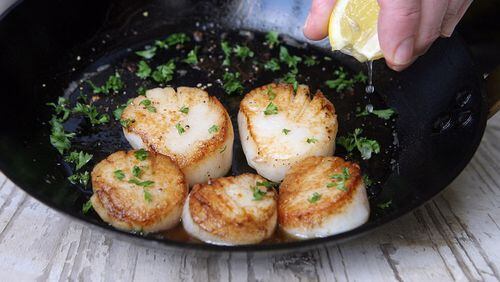 Squeeze a bit of lemon on seared scallops in the pan with butter and parsley garnish. (Hillary Levin/St. Louis Post-Dispatch/TNS)