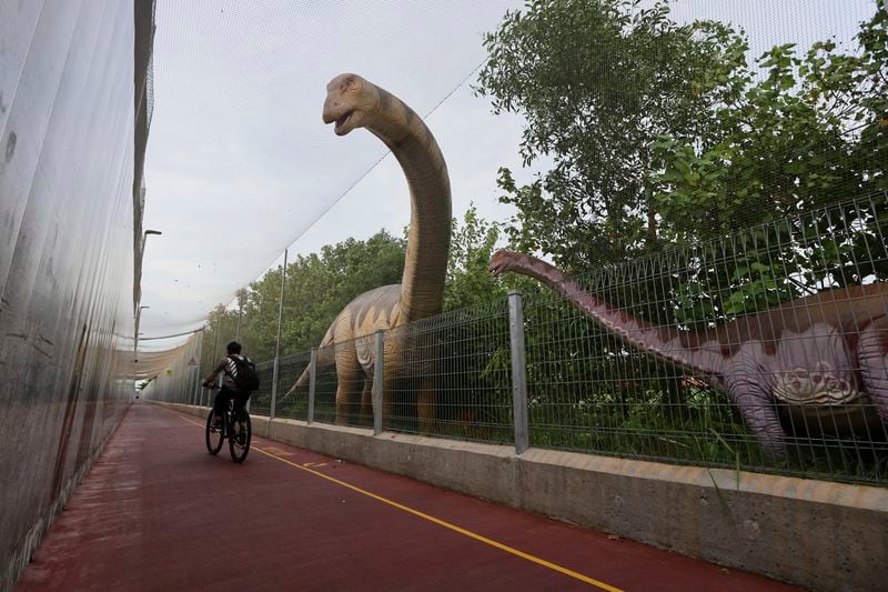 A man cycles past a life size dinosaur replica along the Changi Jurassic Mile in Singapore, Sunday, Sept. 8, 2024. (AP Photo/Suhaimi Abdullah)