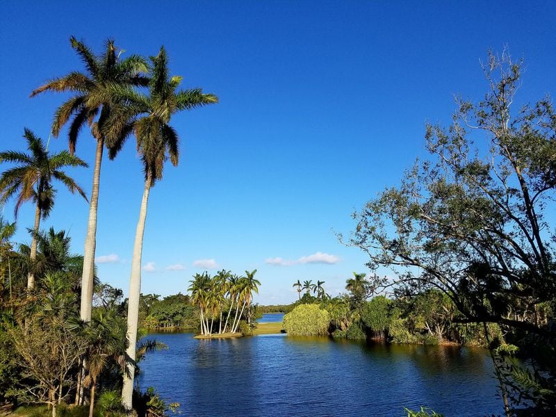 
A view across Pandanus and Center lakes from the scenic Overlook Vista in Fairchild Tropical Botanic Garden. 
(Courtesy of Fairchild Tropical Botanic Garden)