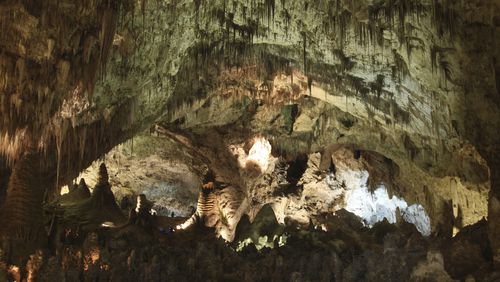 FILE - Hundreds of cave formations are shown decorating the Big Room at Carlsbad Caverns National Park near Carlsbad, N.M., Dec. 18, 2010. (AP Photo/Susan Montoya Bryan, File)