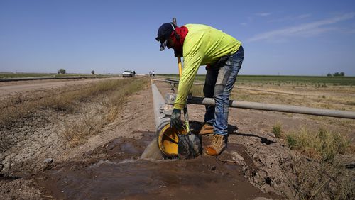 FILE - A worker diverts water as a sprinkler system is installed for alfalfa at the Cox family farm Monday, Aug. 15, 2022, near Brawley, Calif. Under a new program, farmers of certain forage crops, including alfalfa, will be paid to shut off water to their fields for a short period of time during the hot summer months, which are not peak times for the crop and which won't affect its long-term viability. (AP Photo/Gregory Bull, File)