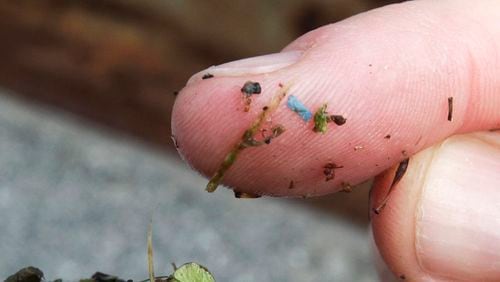 FILE - A blue rectangular piece of microplastic sits on the finger of a researcher with the University of Washington-Tacoma environmental science program, after it was found in debris collected from the Thea Foss Waterway, in Tacoma, Wash., on May 19, 2010. (AP Photo/Ted S. Warren, File)