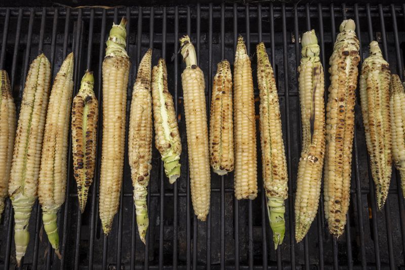 Cobs of white corn are roasted before being cut and bagged on the Oneida Indian Reservation, Friday, Aug. 30, 2024, in Oneida, Wis. (AP Photo/Mike Roemer)