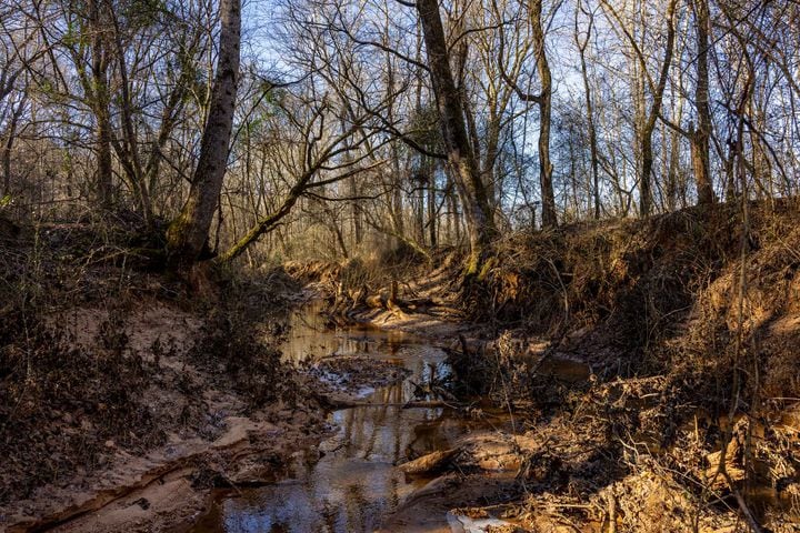 West Georgia hunting property