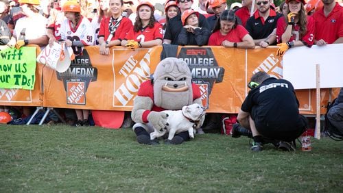 'Kirby,' a 6-month-old English bulldog puppy, snuggles with his new best friend, UGA mascot Hairy Dawg, at the ESPN College Game Day setup this past Saturday on UGA's Myers Quad.