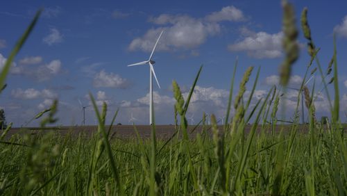 Wind turbines operate, Tuesday, May 7, 2024, in Paxton, Ill. (AP Photo/Joshua A. Bickel)