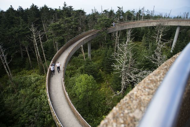 FILE - Members of the media walk down from Clingman's Dome tower while waiting for a total solar eclipse to begin in Great Smoky Mountains National Park at Clingman's Dome, Aug. 21, 2017. (Caitie McMekin/Knoxville News Sentinel via AP, File)