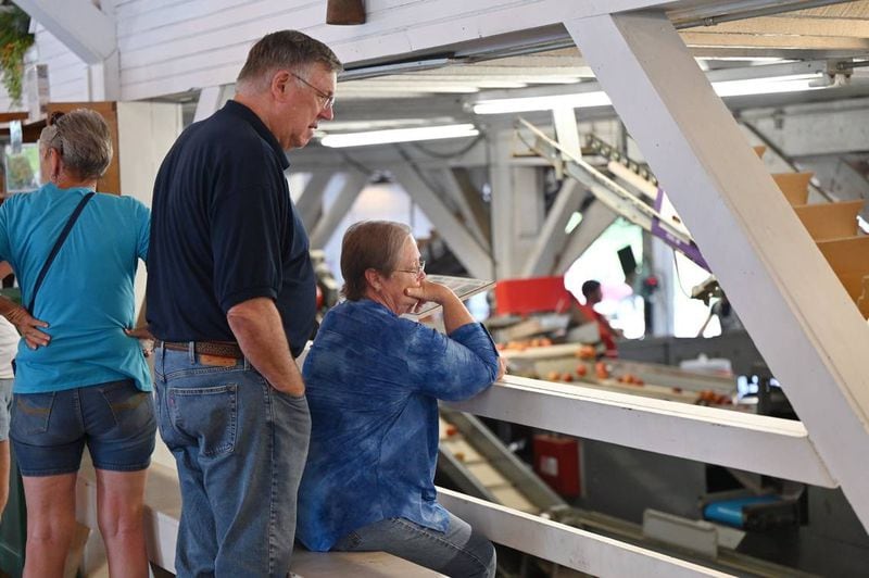 Jimmy (left) and JoAnn Bryant, from Jackson, Georgia, watch the peach conveyor belt at Dickey Farms on Wednesday, July 3, 2024, in Musella, Georgia. Dickey Farms is the oldest, continuously operating peach packinghouse in Georgia and offers tours and sells homemade goods and produce in their shop. (Photo Courtesy of Katie Tucker/The Telegraph)