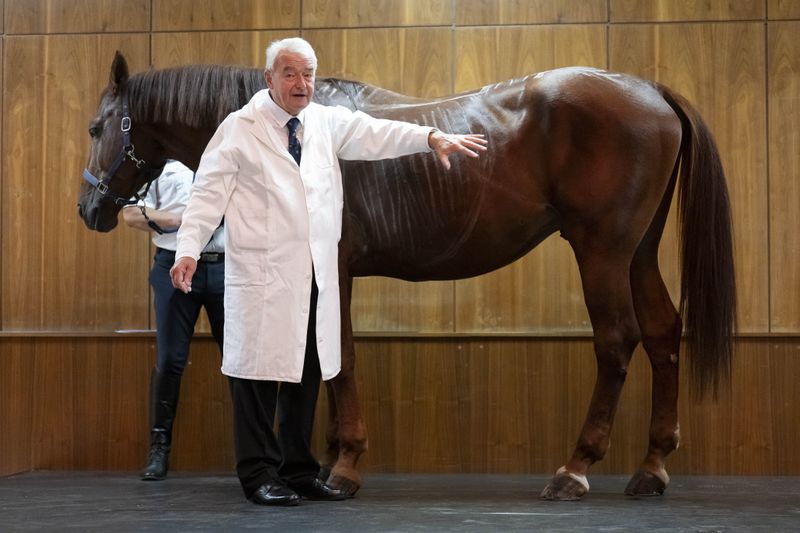 Dr. Peter Sotonyi, rector of the University of Veterinary Medicine in Budapest, Hungary, gives an anatomy lecture for first-year students, using chalk to mark the body of live horses, Monday, Sept 9. 2024. (AP Photo/Denes Erdos)