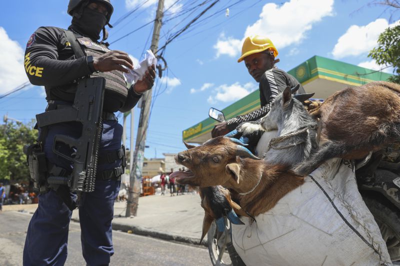 A police officer checks the receipt that shows the purchase of goats being transported on the back of a motorcycle in Port-au-Prince, Haiti, Friday, Sept. 13, 2024. (AP Photo/Odelyn Joseph)