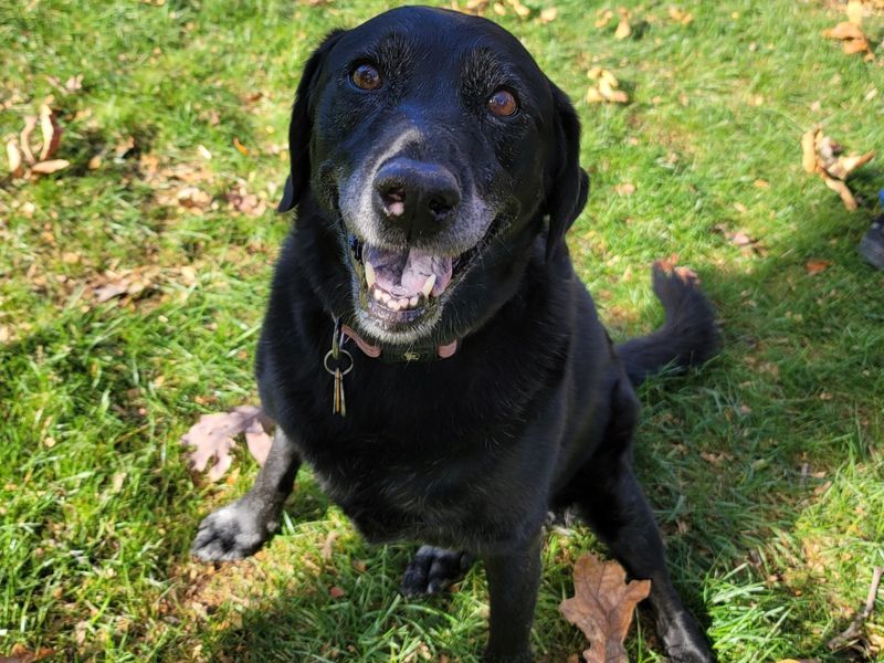 A reliable source told us Elly wanted her picture in The Jolt, and we're happy to oblige. Elly lives in the Old Fourth Ward with AJC subscribers, the Daugherty family.