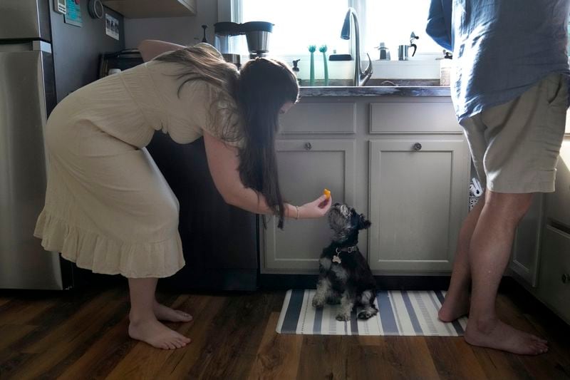 Julia Manetta feeds Basil a piece of watermelon as she and her husband, Steven, prepare dinner Thursday, Aug. 29, 2024, in their Lemont, Ill., home. (AP Photo/Charles Rex Arbogast)