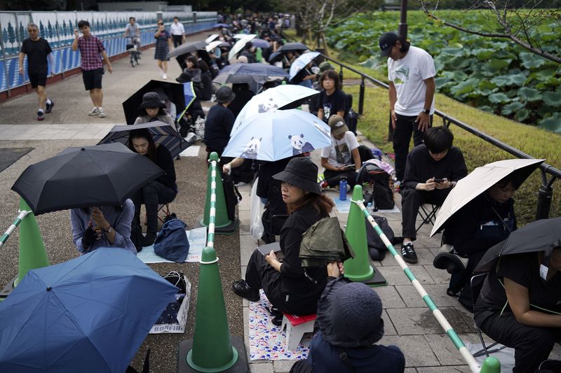 Visitors wait to see the giant pandas Ri Ri and Shin Shin at Ueno Zoo, a day before their return to China, Saturday, Sept. 28, 2024, in Tokyo. (AP Photo/Eugene Hoshiko)