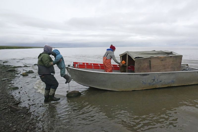 Calvin Tom, left, the tribal administrator, lifts his son Brady Tom into his boat in Mertarvik, Alaska on Wednesday, Aug. 14, 2024. (AP Photo/Rick Bowmer)