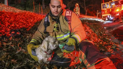 December 20, 2016 Atlanta: Atlanta firefighter, Andrew Morgan of Truck 1 gives oxygen to a dog rescued from a burning house after Atlanta firefighters rescued a man and the dog from the house early Tuesday, Dec. 20, 2016 in northwest Atlanta. Firefighters went to the home in the 2800 block of Baker Ridge Drive and tried to enter through the front door, Atlanta fire Capt. Kelen Evans told The Atlanta Journal-Constitution. A lieutenant went to the back of the home and found the man near a door. "She alerted us," Evans said. "We got the door open and pulled him out." Emergency workers administered CPR. The man's condition was not known. "But he was breathing when we brought him out," Evans said. "That's about all I can tell you." The blaze damaged a front room, Atlanta fire battalion Chief Darrel Mason said. "We have fire investigators on the scene now, so we can't give any indication of what might have caused the issue," Mason said. No other details were released. JOHN SPINK /JSPINK@AJC.COM