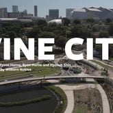 VIDEO: Atlanta mayoral race -- Vine City