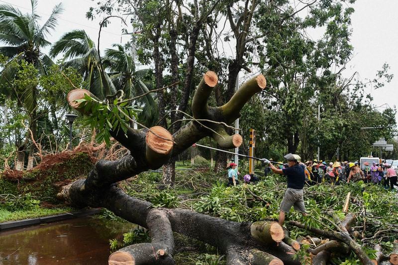 In this photo released by Xinhua News Agency, workers remove fallen tree branches along a street in the aftermath of Typhoon Yagi in Haikou, south China's Hainan Province, Saturday, Sept. 7, 2024. (Yang Guanyu/Xinhua via AP)