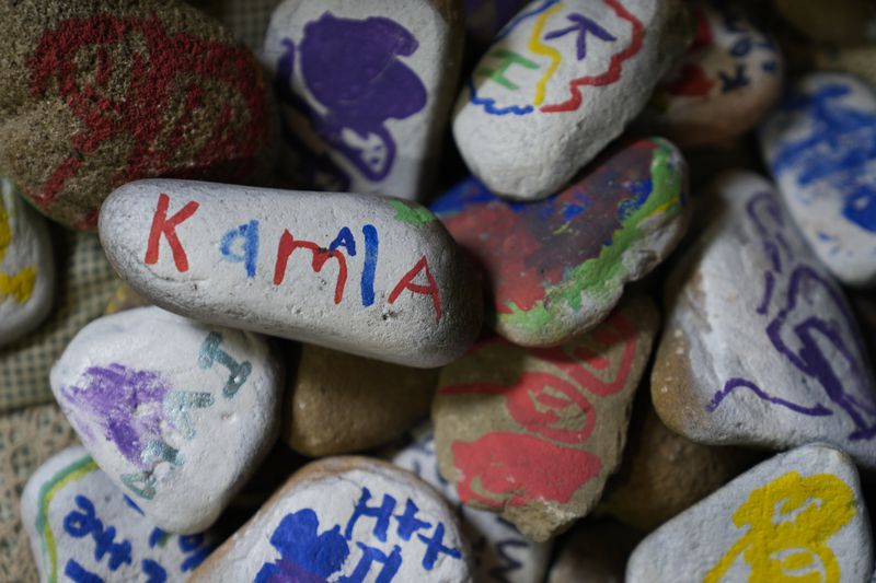 Painted rocks, including one expressing support for Democratic presidential nominee Vice President Kamala Harris are seen at Heidi Priest's home in Butler, Friday, Sept. 27, 2024. (AP Photo/Matt Rourke)