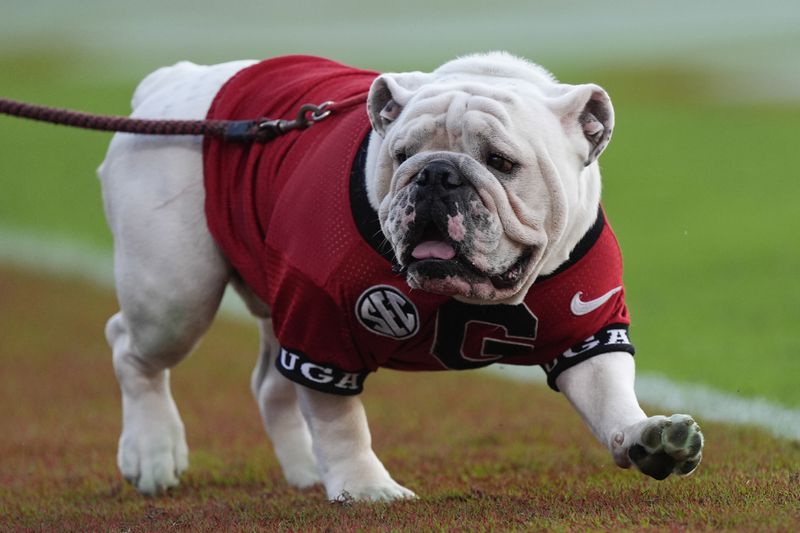 Georgia mascot Uga XI patrols the sideline during the second half of an NCAA college football game against Auburn Saturday, Oct. 5, 2024, in Athens, Ga. (AP Photo/John Bazemore)