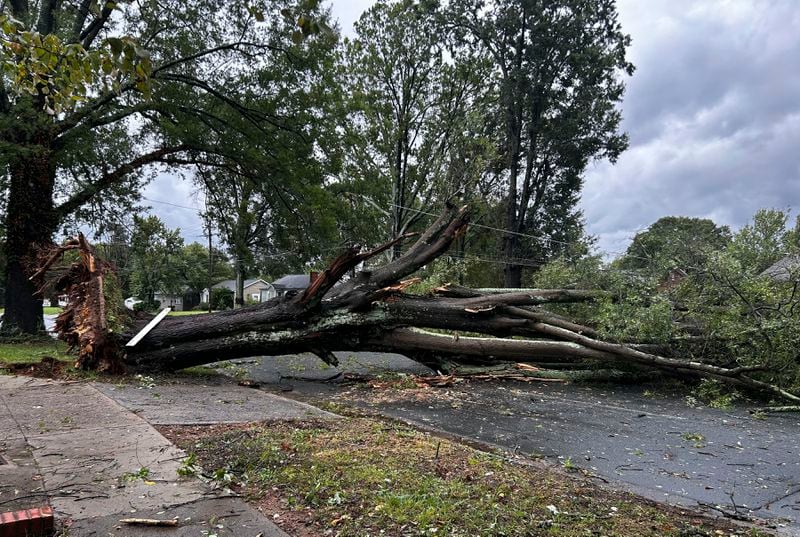 A downed tree blocks Eastway Drive in Charlotte, N.C., as Hurricane Helene moved across the area Friday, Sept. 27, 2024. (Diamond Vances/The Charlotte Observer via AP)