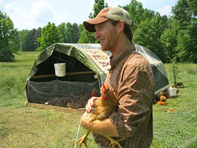 Chicken farming