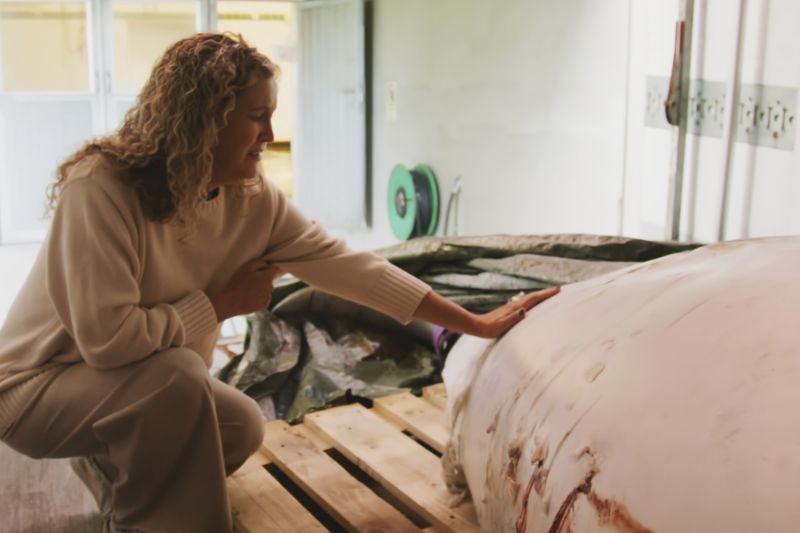 This photo provided by OneWhale.org on Wednesday, Sept. 4, 2024, shows manager Regina Haug next to the carcass of the beluga whale Hvaldimir, who was found dead on Saturday, Aug. 31, 2024.