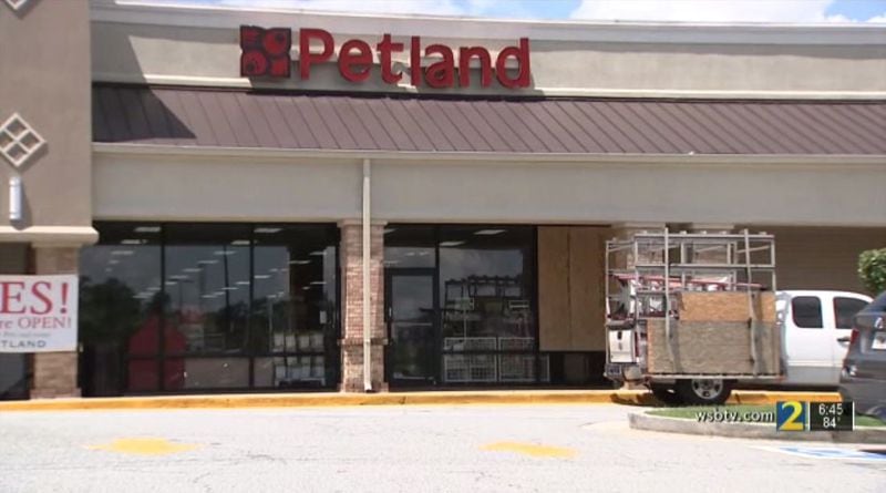 A broken window near the front of the Petland in Dunwoody was replaced Thursday following an early morning break-in.