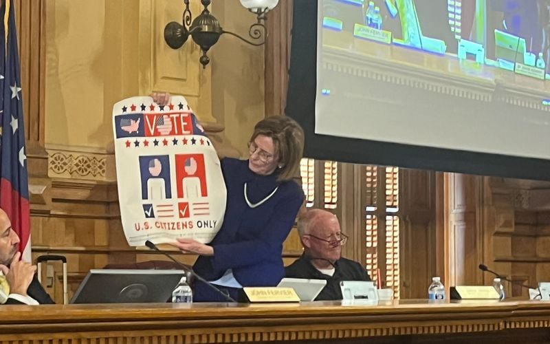 Janice Johnston holds up a sign during a State Election Board meeting that says only U.S. citizens can vote.