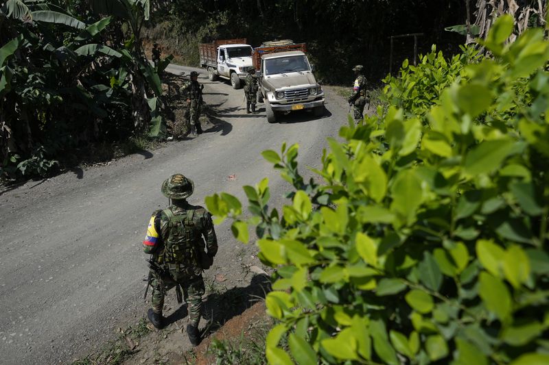 Members of a rebel group that broke away from the former Revolutionary Armed Forces of Colombia, or FARC, operate a checkpoint in the Micay Canyon region, southwestern Colombia, Wednesday, Aug. 14, 2024. The former FARC faction, known by its initials in Spanish FARC-EMC, has set up roadblocks to control parts of the region, and guards coca leaf farms on its mountainsides. (AP Photo/Fernando Vergara)