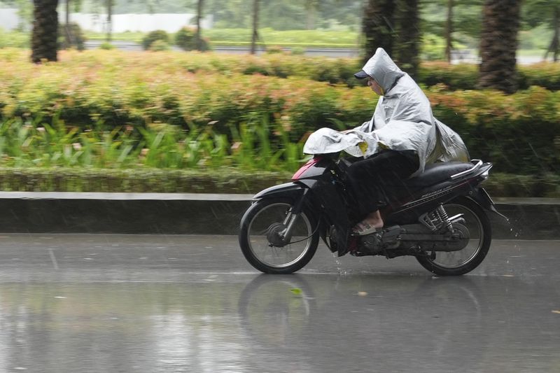 A man rides a motorcycle in the rain caused by typhoon Yagi in Hanoi, Vietnam Saturday, Sept. 7, 2024. (AP Photo/Hau Dinh)