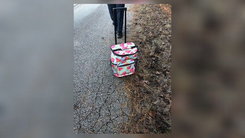 Deputies were alerted to a zippered cooler that contained the body of a baby.